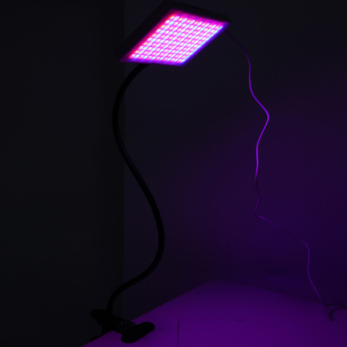 Lámpara De Belleza De Luz Azul Roja, Máquina De Terapia De L