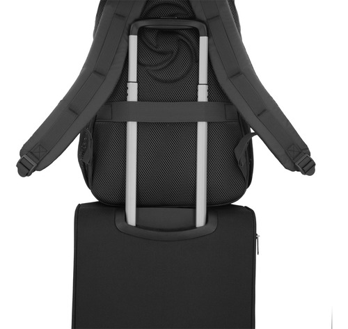 Morral Samsonite Reformation Smithson Negro