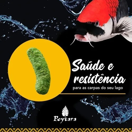 Imagem 2 de 7 de Ração Para Carpas Poytara Mix Premium 6x1 Lago Peixe - 6 Kg