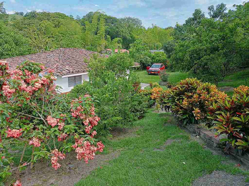 Casa Campestre En Venta En El Km 41 - Caldas (279057741).