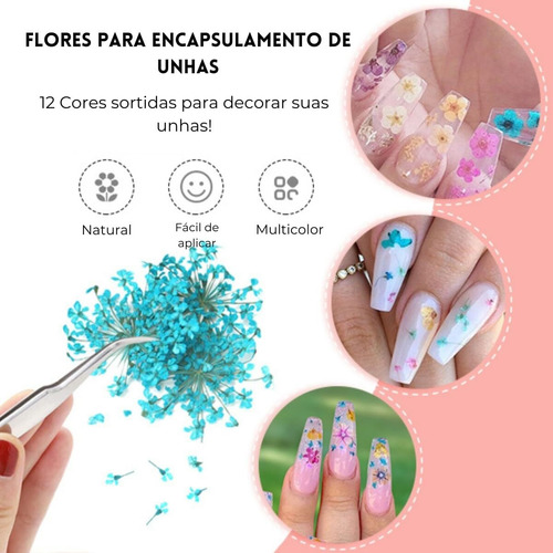 Flores Secas Para Decoração E Encapsulamento De Unhas Gel