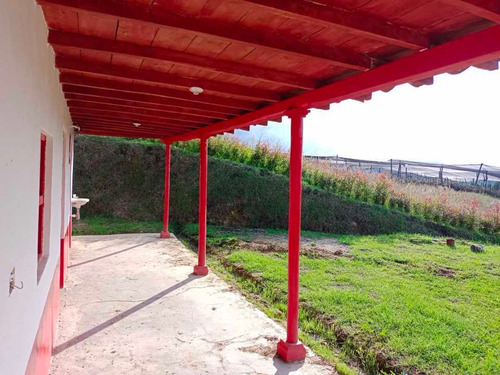 Imagen 7 de 30 de Hermosa Finca Campesina En Venta En Parcelación Excelente Vecindario.