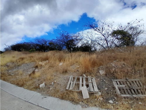 Terrenos En Venta En Real De Juriquilla 334m2