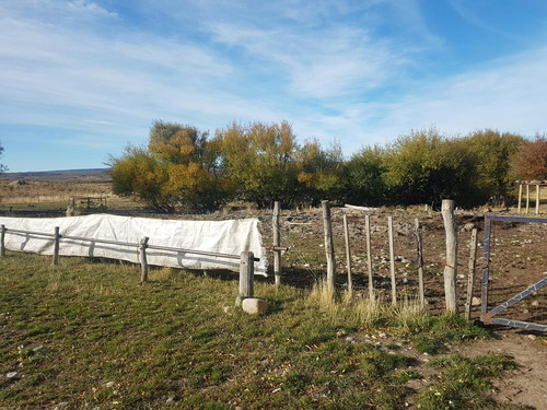 Campo - Rio Pico