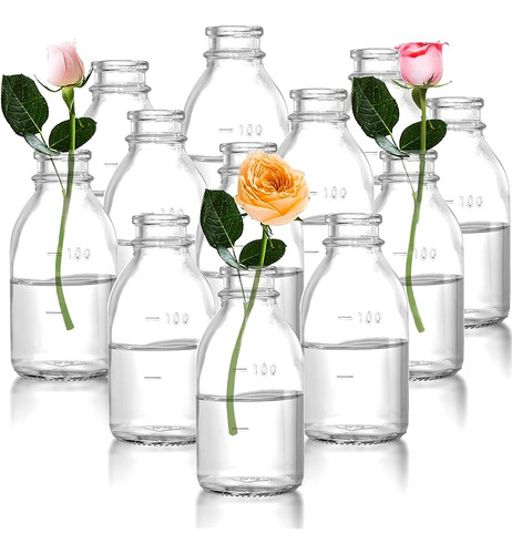 Okllen Set De 12 Floreros De Capullo De Vidrio, Botellas Peq