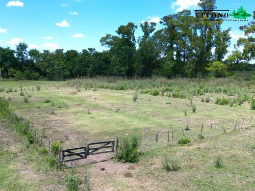 Campo En Venta En Carlos Keen - 28,65ha