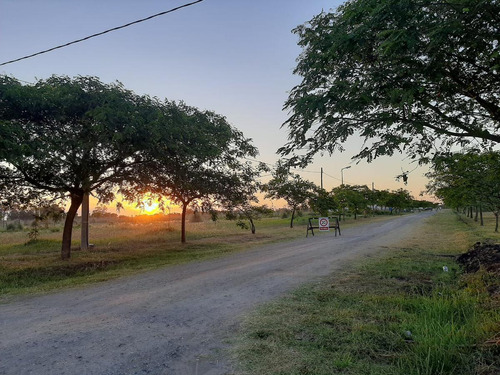 Terreno En Venta En La Cañada