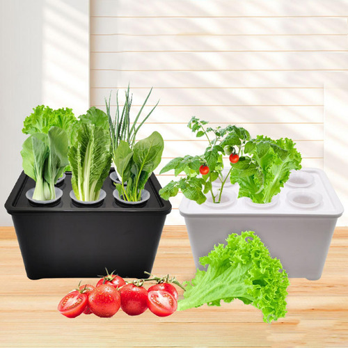 Sistema De Cultivo Hidropónico, Kit De Cultivo Hidropónico P