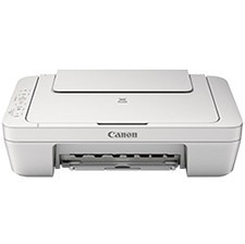 Canon Multifuncional Pixma Mg-2910 Wifi  