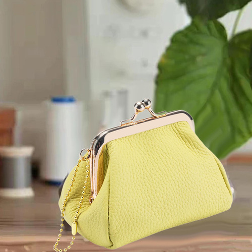 Monedero De Cambio, Bolso De Moda Con Cierre De Amarillo