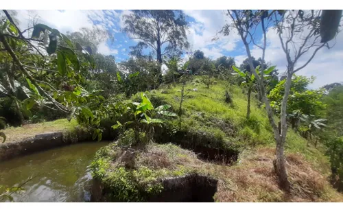 Se Vende Finca Vda La Julia Montenegro Quindío