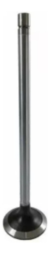 Valvula De Admision Motor Stralis Iveco 500355778