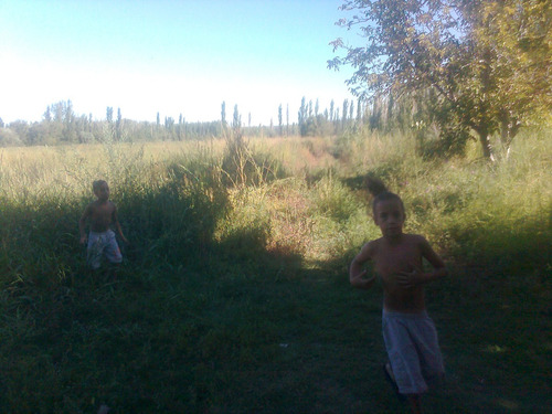 Finca En Rama Caida Una Hectarea Y Media Con Casa A Mejorar