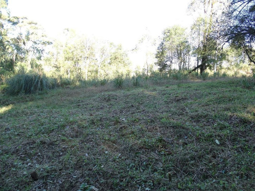 Imagem 10 de 15 de Terreno À Venda, 463 M² Por R$ 446.800,00 - Vivendas Do Arvoredo - Gramado/rs - Te0093
