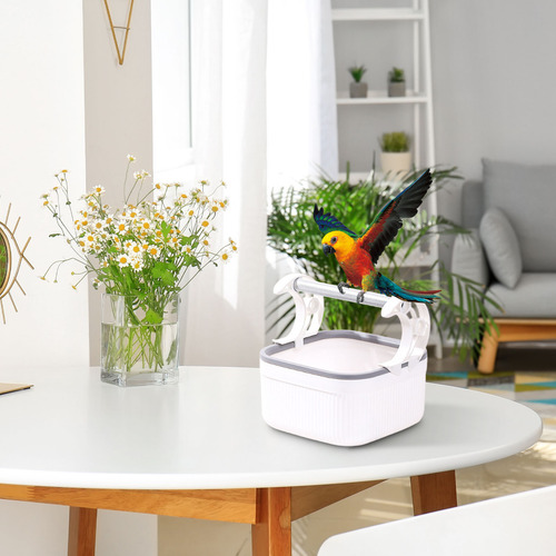 Herramienta De Entrenamiento Para Orinar Pájaros De Mesa, Po