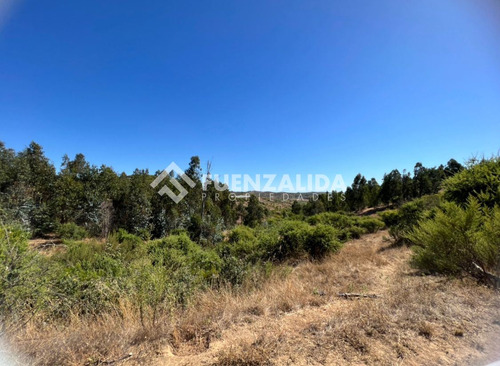 Agrícola En Venta En Melipilla San Pedro
