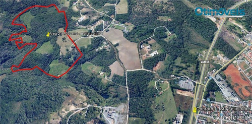 Imagem 2 de 3 de Área À Venda, 218180 M² Por R$ 7.636.300,00 - Butiatuvinha - Curitiba/pr - Ar0011