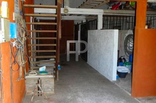 Imagen 12 de 15 de Chacra En Venta Laguna Del Sauce 3 Dormitorios, 5 Hectáreas