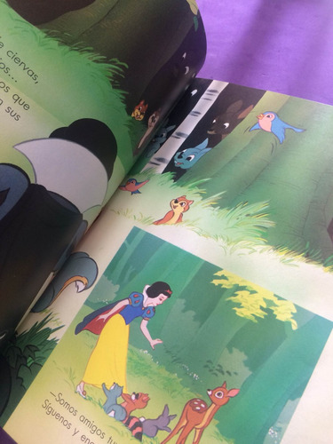 Blanca Nieves Walt Disney (Usado)