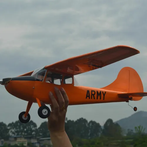 Kit De Modelo De Avión Cessna L-19 Bird Dog Rc Bearwood