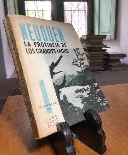 Neuquen La Provincia De Los Grandes Lagos - Juan M. Raone M