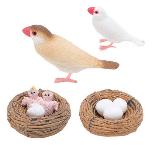 Figuras Educativas De Pvc Sobre El Ciclo De Vida De Aves, 4