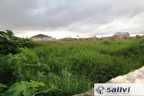 Imagem 5 de 9 de Terreno Para Alugar - 01278.006