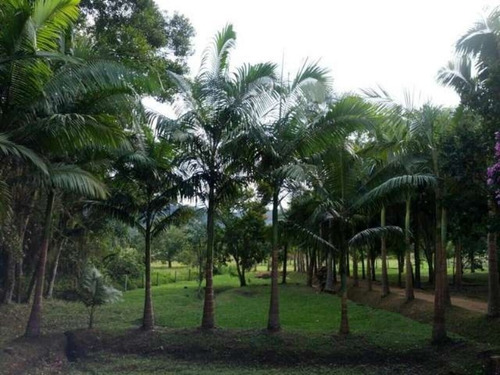 Imagem 23 de 30 de Sitio Em Camboriú - Aceita Permuta Em Balneário Camboriu 15mil M² - T102 - 3285723