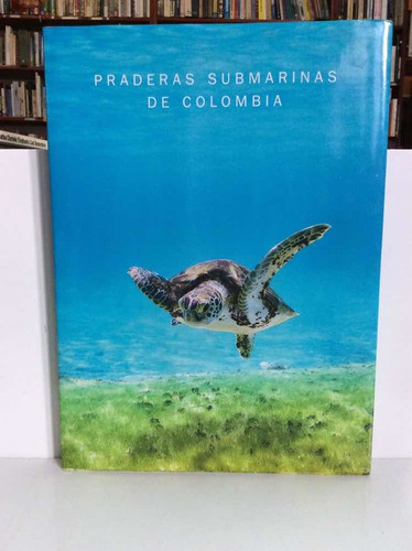 Praderas Submarinas De Colombia - Ambiente - Ecología