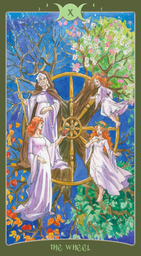 The Book Of Shadows Tarot Stock Ya, Original, 2 Mazos Kit.