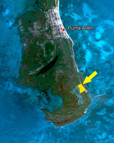 Imagen 1 de 7 de Terreno En Venta En Punta Allen, Increíble Oportunidad De Inversión