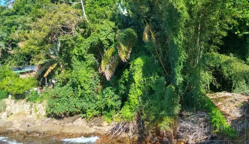 Imagem 11 de 11 de Terreno Em Ilhabela/sp Ref:703 - 703