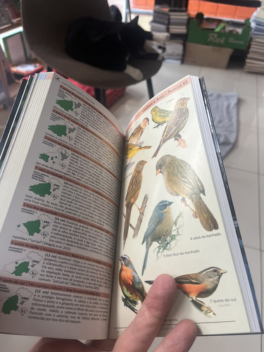 Aves Da Região Noroeste Do Rio Grande Do Sul (Usado)