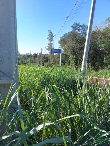 Imagem 5 de 8 de Terreno À Venda, 200 M² Por R$ 60.000,00 - Loteamento Vila Maria - Foz Do Iguaçu/pr - Te0467