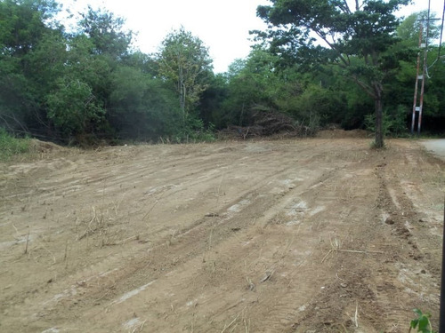 Imagen 6 de 8 de Terreno En La Poblacion De Tacarigua 21-2940