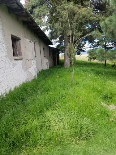 Imagen 21 de 22 de Vendo Terreno En Tlachaloya