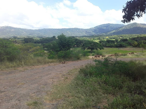 Imagen 18 de 30 de Se Vende Finca Agropecuaria De 300 Hectareas En Guarico Altagracia De Orituco Att-120
