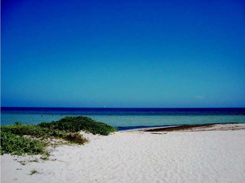 Venta De Lotes Adventures En La Playa De Yucatán, Telchac Puerto