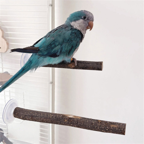 (a) Suction Cup Bird Toy Poleiros Stand Climbing Playing Par
