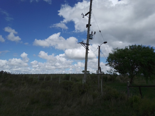 Chacra De 8 Hectáreas Y Media A 65 Km De Montevideo