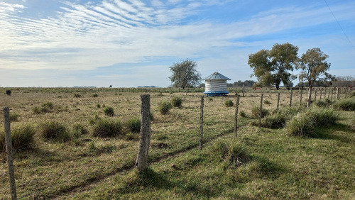 Imagen 5 de 30 de En Venta Chacra En Tapalque. Vendida