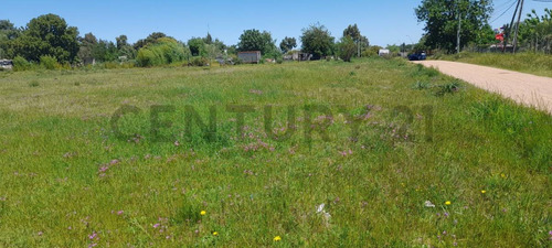 Destacado Terreno 523 M²/playa Pascual/ Cerca De Ruta 1 Nueva K 32