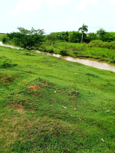 Te Vendo Finca De 1,600 Tareas En Bayaguana.