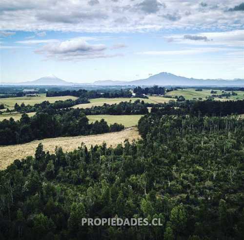 Imagen 4 de 15 de Sitio En Venta En Puerto Varas / Lomas Del Maullin