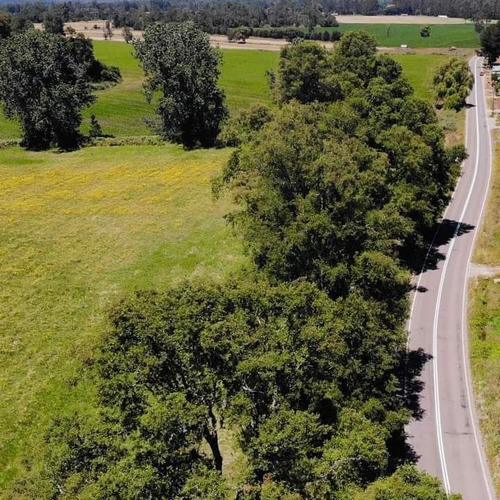 Parcelas En Frutillar, Bosques Y Praderas. Financiamiento