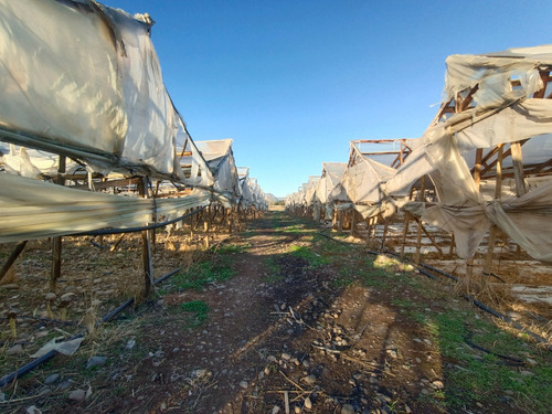 Se Vende Preciosa Parcela Agrícola