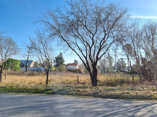 Imagen 1 de 3 de Terreno En Venta San Eduardo Fisherton