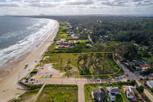 Imagen 3 de 8 de Espectacular Y Único Terreno Sobre La Playa Con 14.588 M²