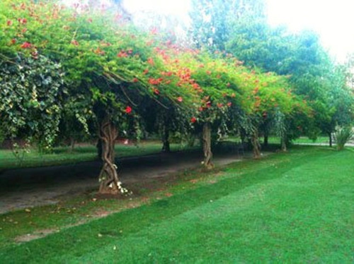 Centro De Eventos En Sector El Principal Pirque