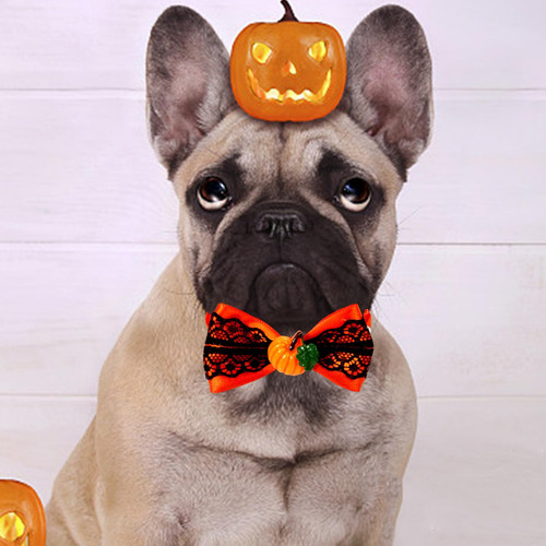 4 Collar De Gato Collar De Otoño Halloween Corbata Estilo H